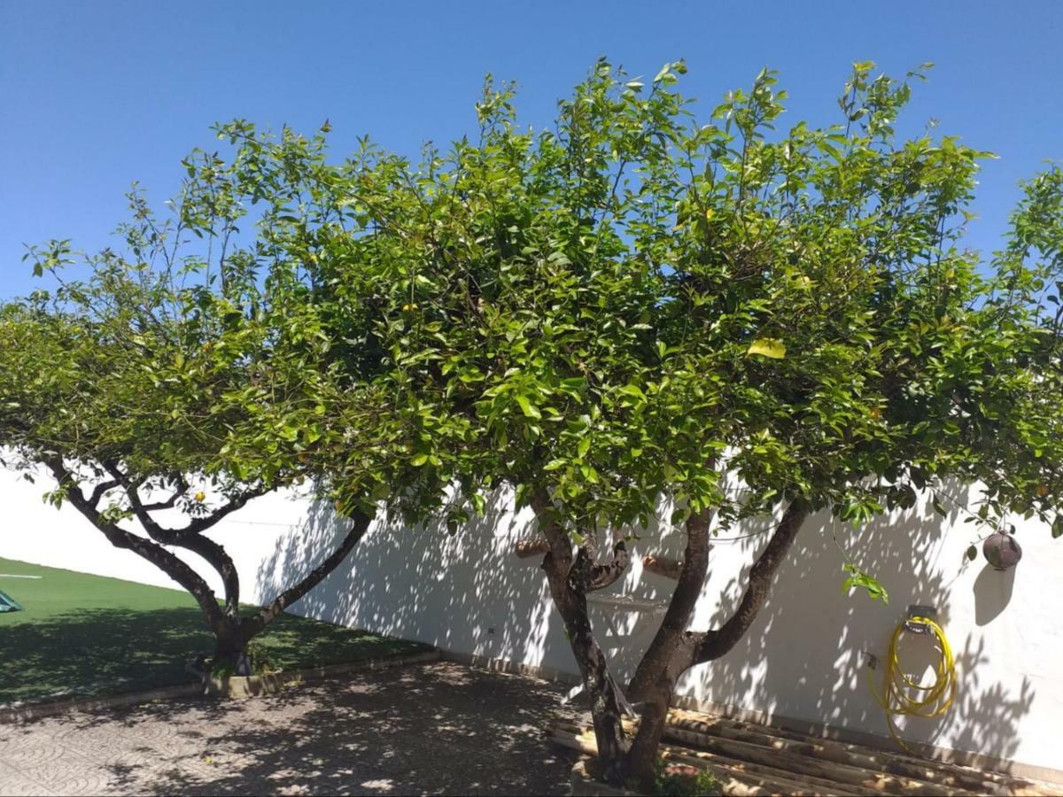 Villa Assuntina Cellino San Marco Dış mekan fotoğraf